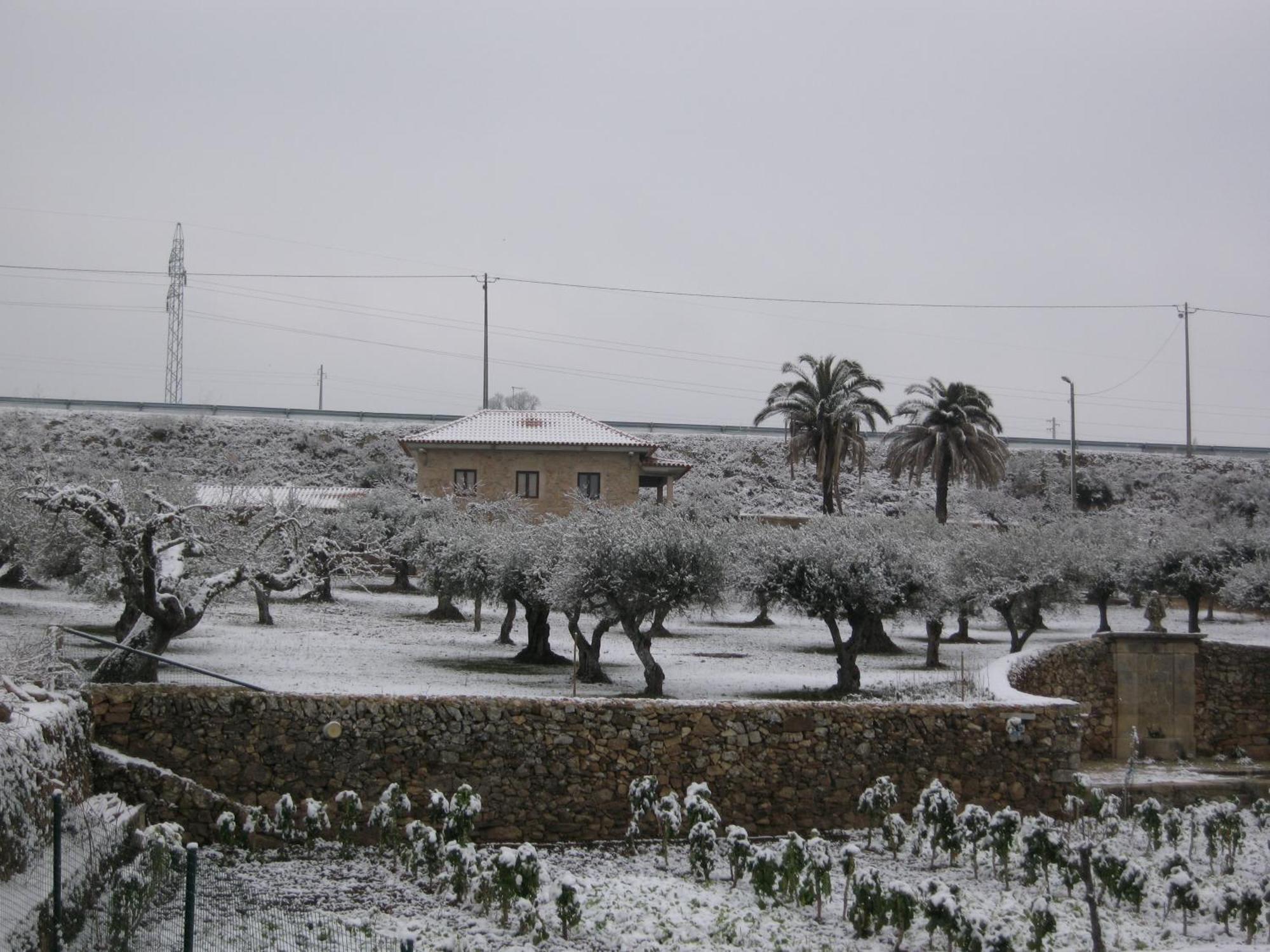 Quinta Das Pias - Holiday Farm Pinhel Exterior foto