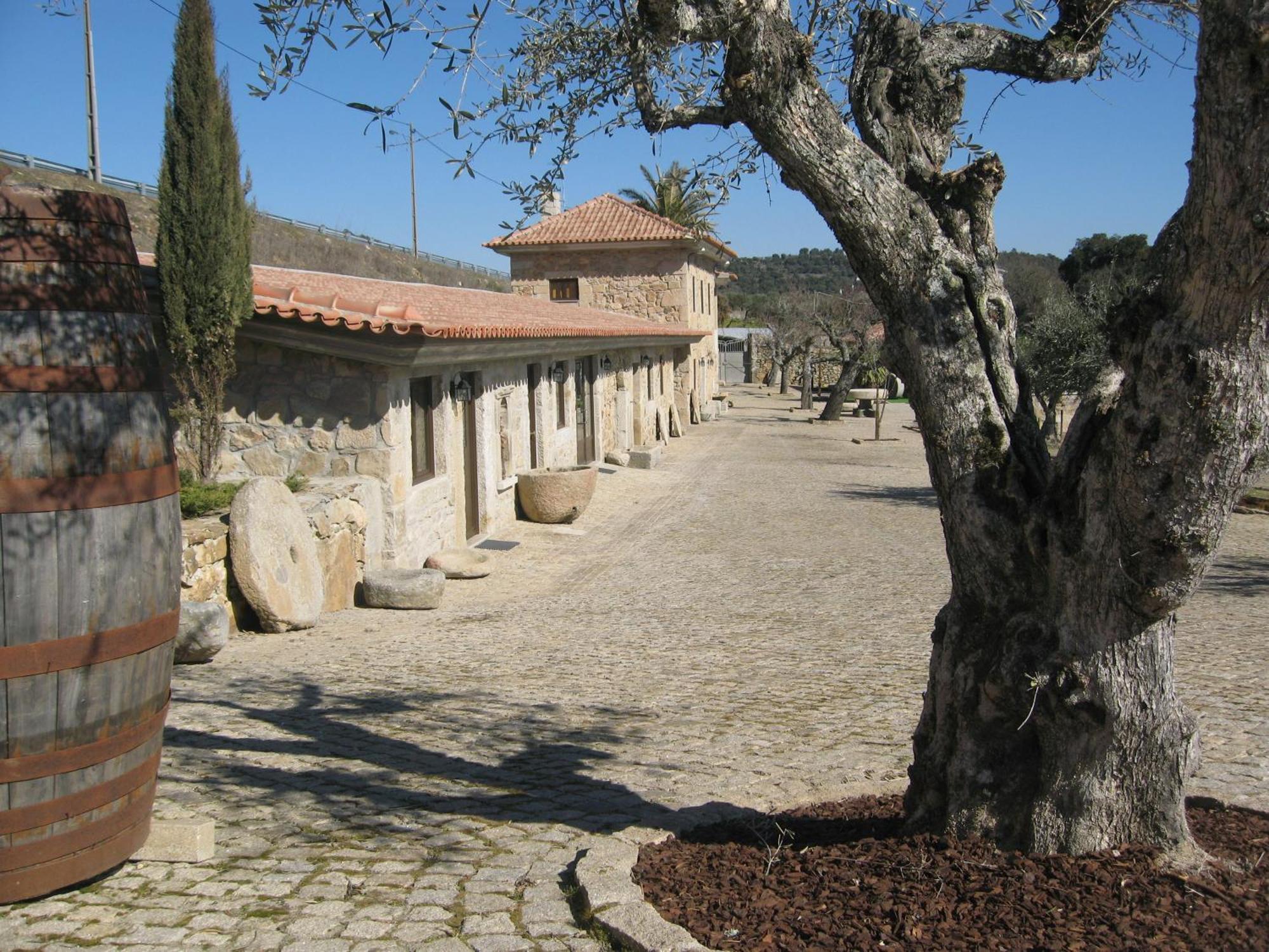 Quinta Das Pias - Holiday Farm Pinhel Exterior foto